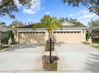 8610 Snowy Owl Way, Tampa, FL 33647