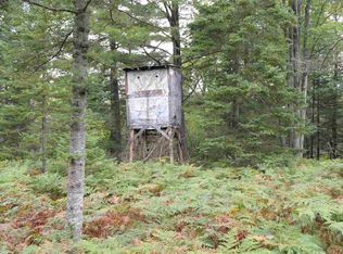 Xx Russell Lake Rd, Saint Helen, MI 48656