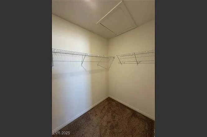 4186 Juniper Pear Ave — Photo 21