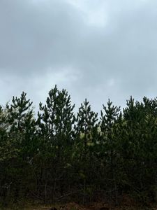 Kelly Fire Ln Lot 6, Tomahawk, WI, 54487