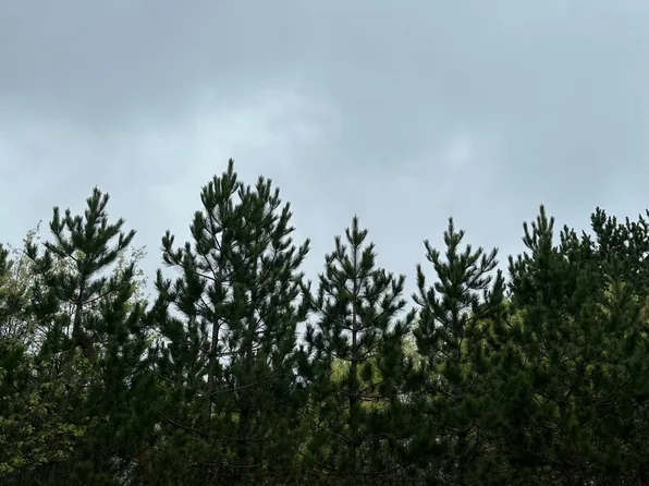 Kelly Fire Ln Lot 6, Tomahawk, WI 54487