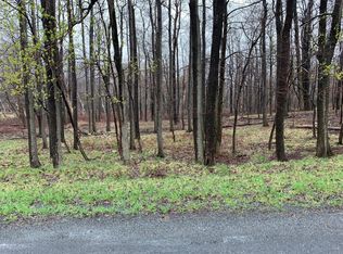 LOT 1 Birch Brier Dr, Effort, PA 18330