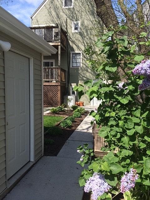 Backyard Walkway to Alley