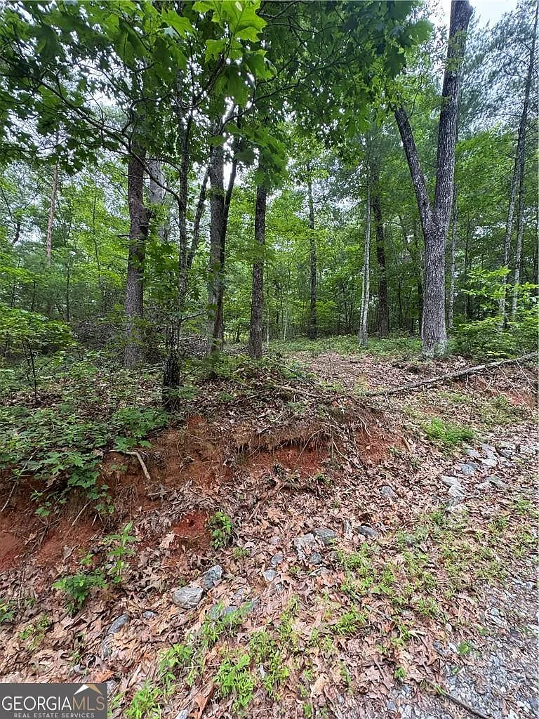 0 Nimblewill Creek Rd photo 1