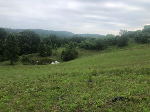 249 Tolliver Ridge Rd, New Tazewell, TN 37825