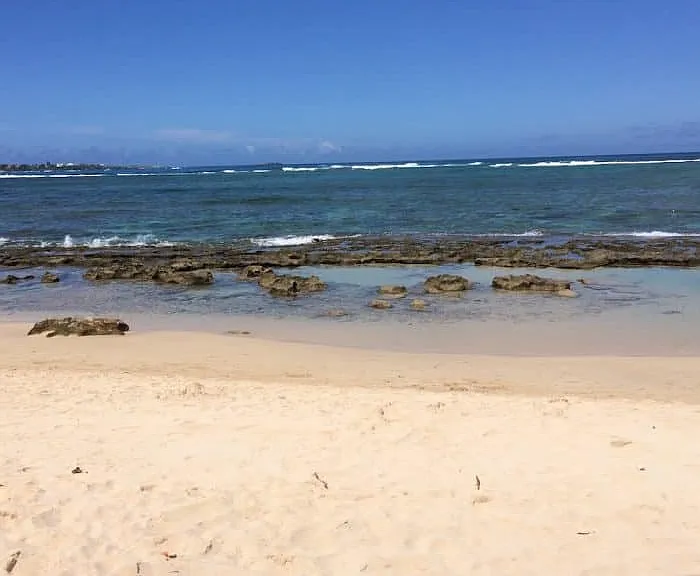 54-353 Kamehameha Hwy #2 — Photo 17