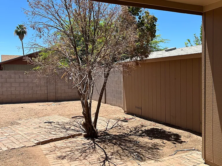 4619 E Camino St #2 — Photo 9