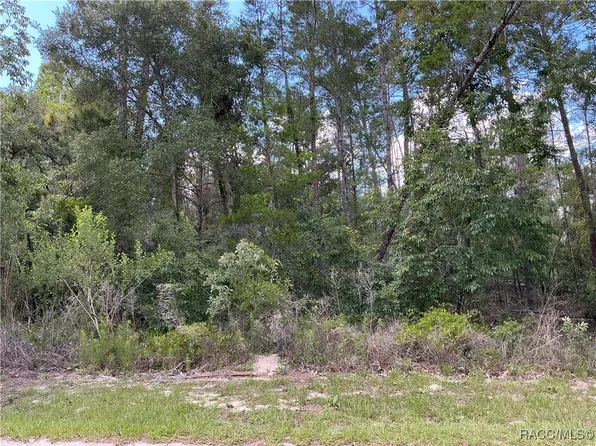 65 Bells Of Ireland Ct, Homosassa, FL 34446