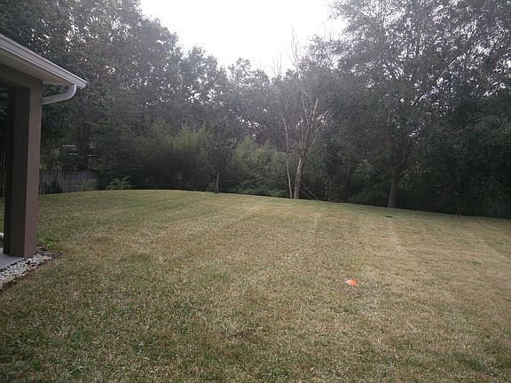 Pets love to run around in the backyard