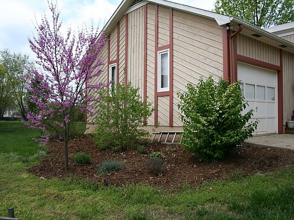 Garage and Garden Peering in the Backyard