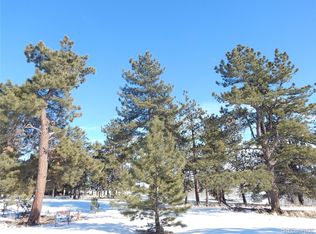 833 Angus Cir, Hartsel, CO 80449