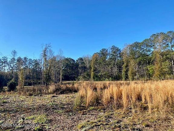 3rd image of 1169 Ole Springs Rd