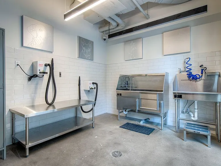 WAG dog spa with grooming equipment