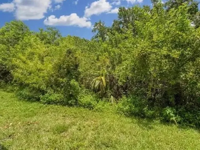 5921 Bayside Key Dr — Photo 14