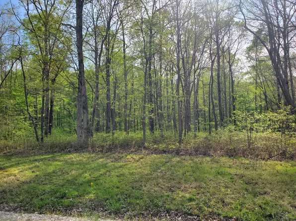 0 Bob Cat Ct Lot 119, Hurricane Mills, TN 37078