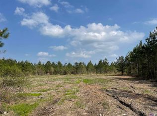 TRACT 13 Lorin Wall Rd Lot 13, Holden, LA 70744