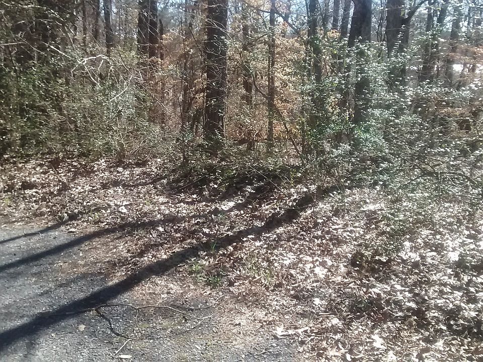 2nd image of Progress Lane