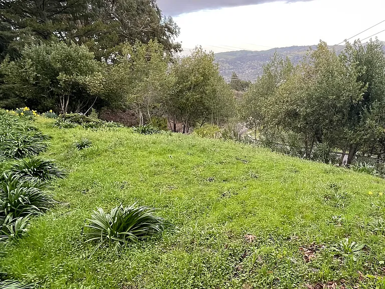 View from Bedroom.