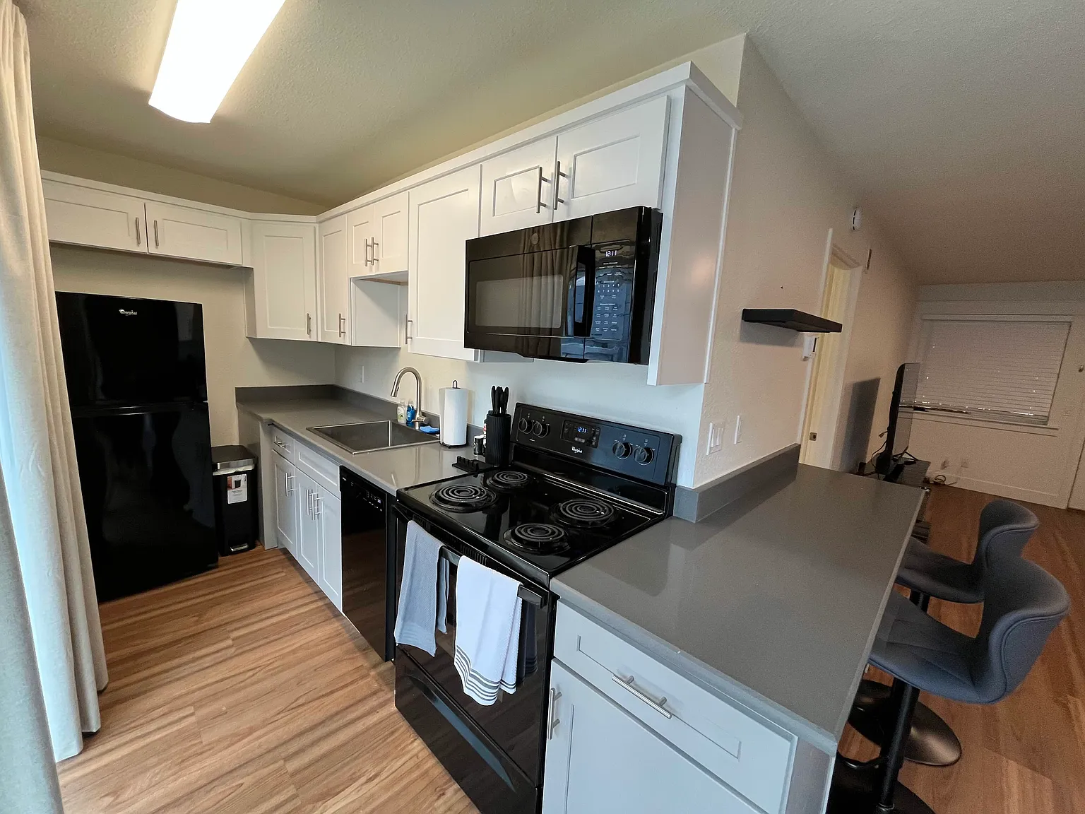 1 bed, 550 sqft, $1,600 — Photo 3