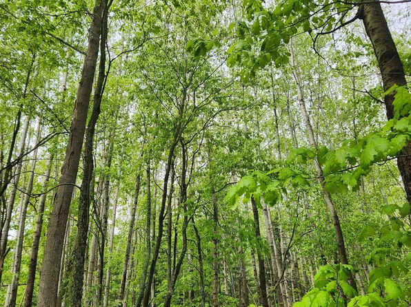 0 Fern St, Hale, MI 48739