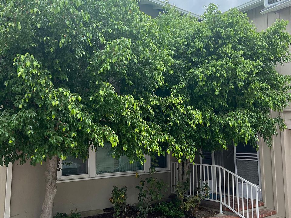1st image of 4223 Whitsett Ave