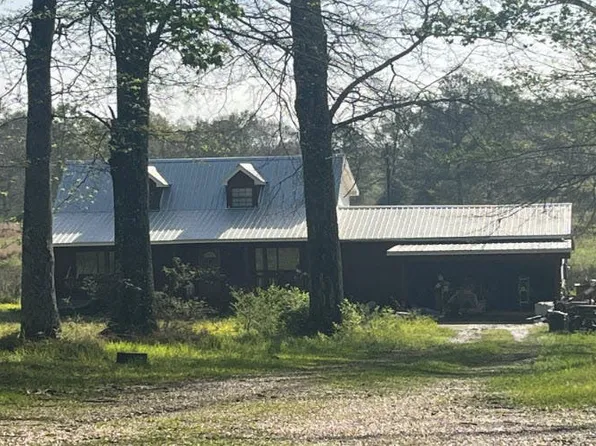 157 Henry Rd, Braxton, MS 39044