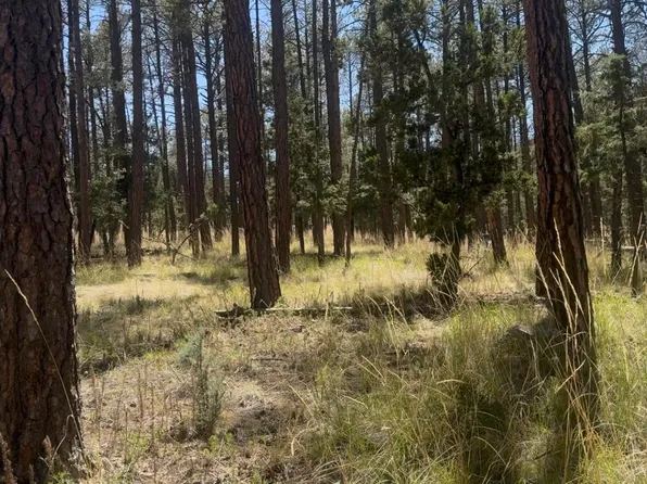 Deer Ln, Timberon, NM 88350