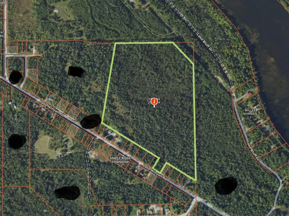 Lake Winyah Rd, Alpena, MI 49707
