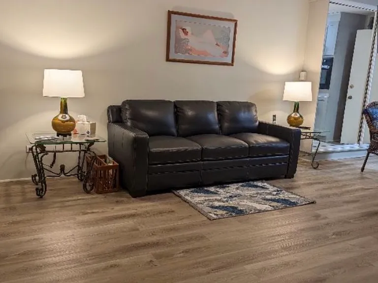 View of our dark blue leather couch, (& not shown in photo) we added a gray electric recliner to the left where plant table is shown.