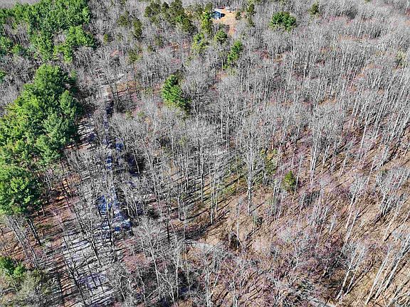 3rd image of Wods On The Lake Rd