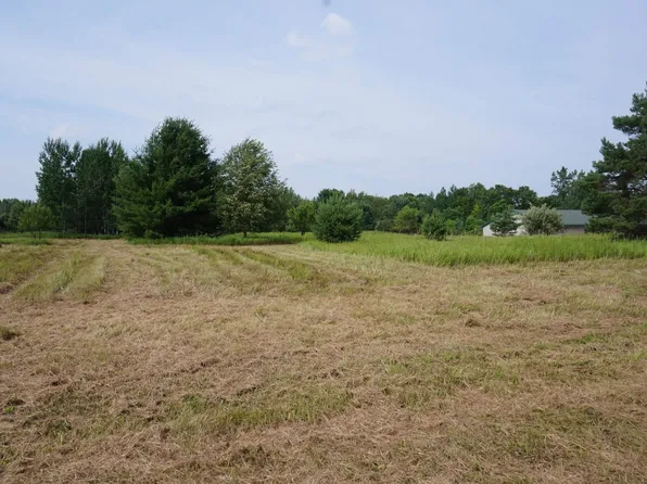 0 Tawas Rd, Whittemore, MI 48770