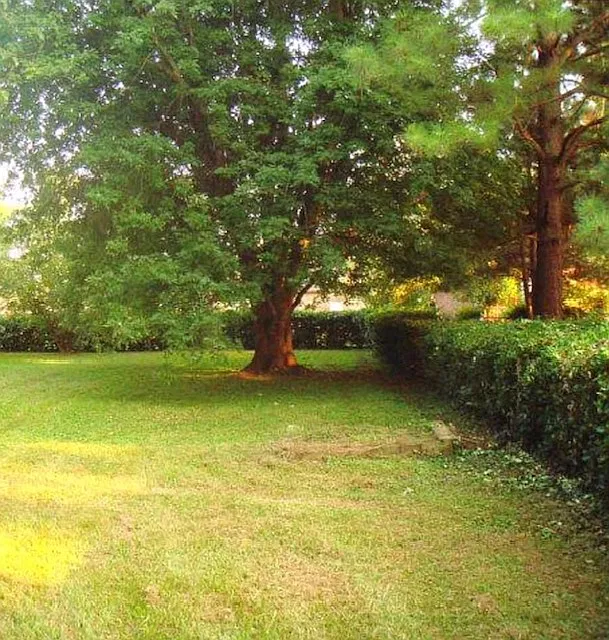 1708 Aydlett Circle — Photo 3