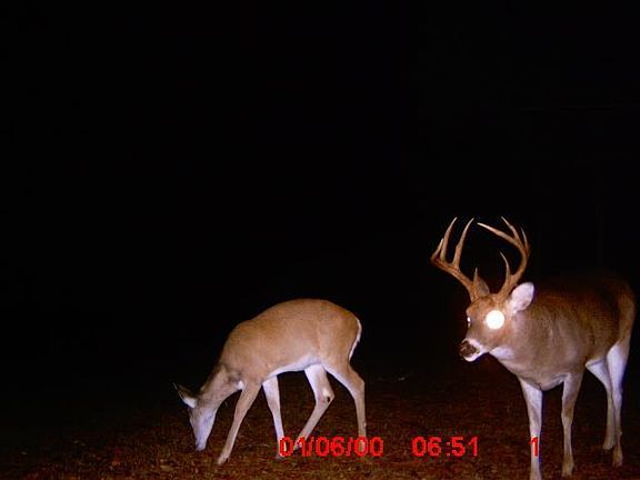 3rd image of 9849 Highway 43 N