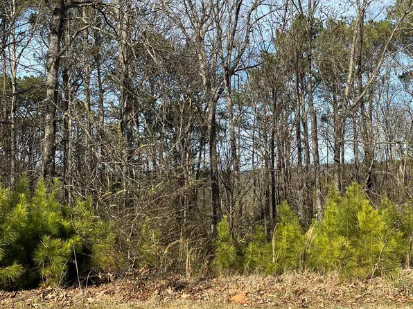 11 Woodland Hills Dr #11, Springville, AL 35146