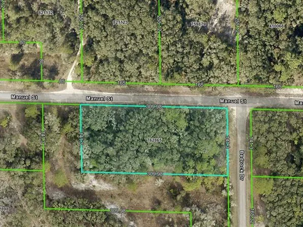 Manuel St Lot 13, Webster, FL 33597