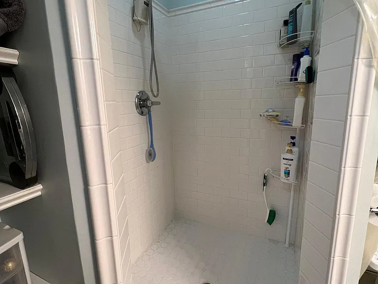 Master Shower
