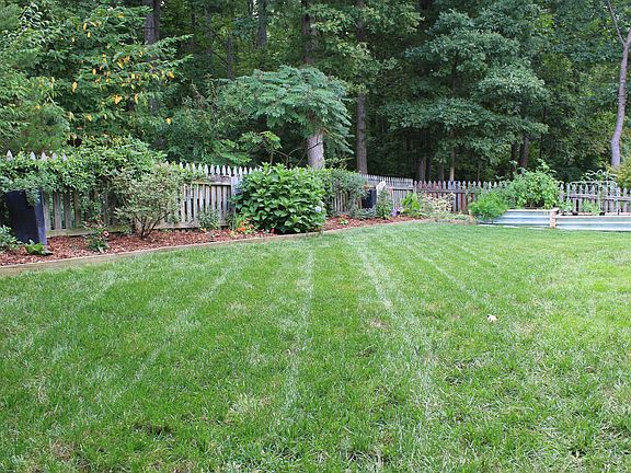 Backyard & Veggie garden in the summer