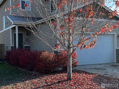 532 S Carriage Dr, Milliken, CO, 80543