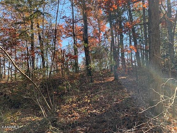 2nd image of Dogwood Dr