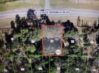 3042 W Citrus Springs Blvd, Citrus Springs, FL 34433