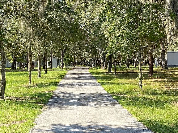 Tree-lined paved driveway