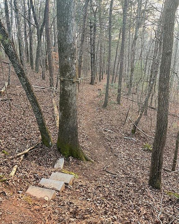 1st image of 0 Shady Grove Church Rd #3
