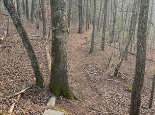 0 Shady Grove Church Rd #3, Talking Rock, GA 30175