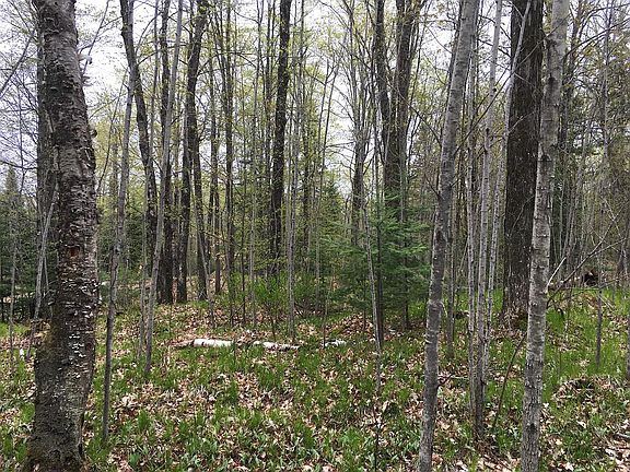 4th image of ON NICOLET HILLS RD