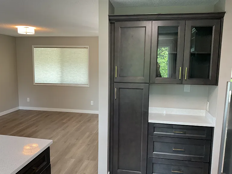 Built in pantry, glass doors, more counter space and built in drawers. See view to living room