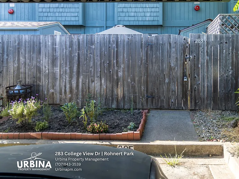 283 College View Dr — Photo 11