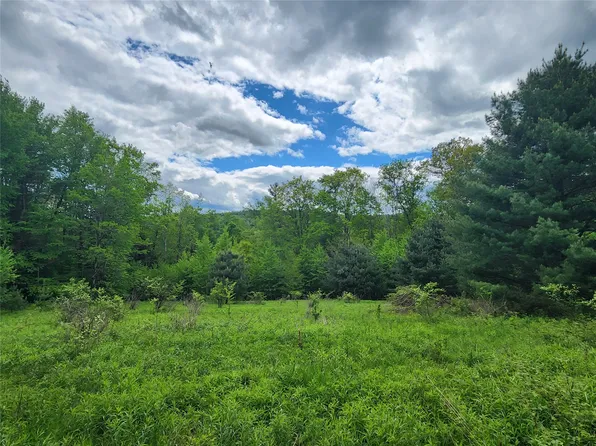 0 Race Rd, Greene, NY 13778