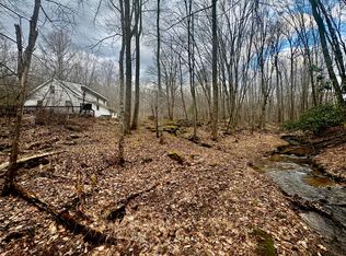 4336 Grassy Creek Rd, Leivasy, WV