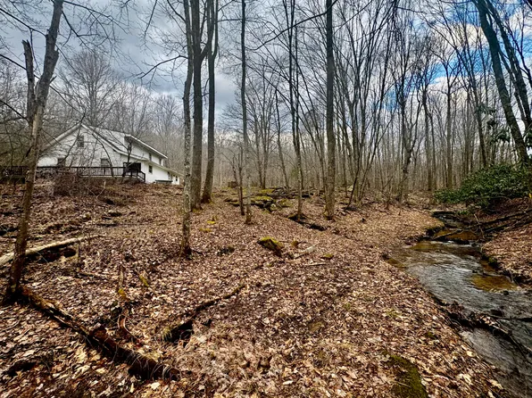 4336 Grassy Creek Rd, Leivasy, WV 26676