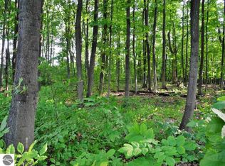 2101 N Our Majestic Trl, Suttons Bay, MI 49682